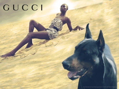 Gucci Advertising 2016